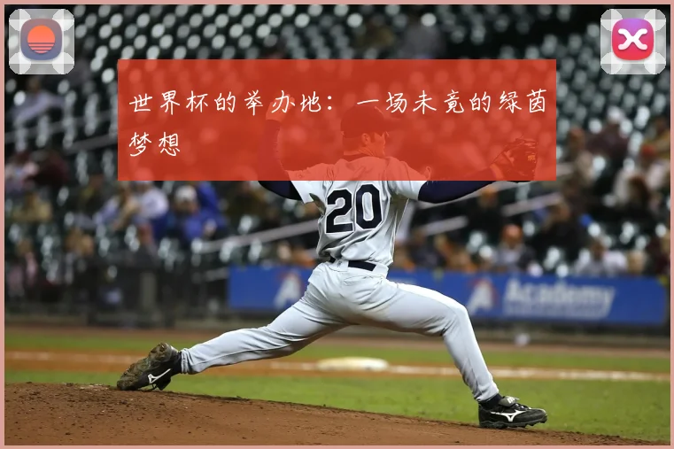 世界杯的举办地：一场未竟的绿茵梦想