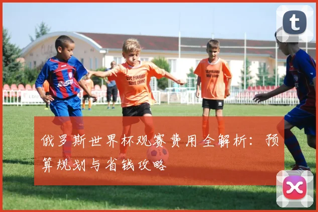 俄罗斯世界杯观赛费用全解析：预算规划与省钱攻略