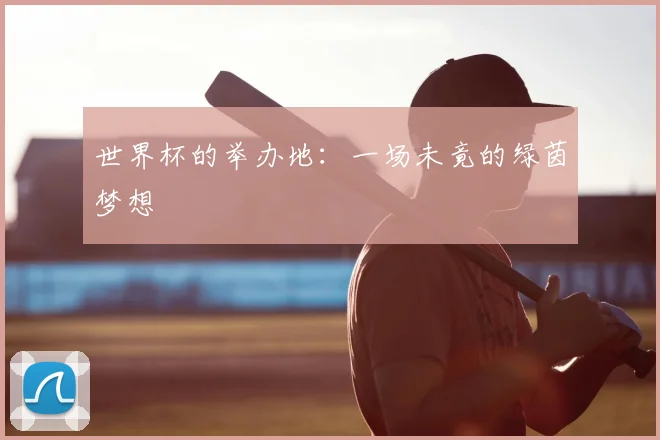 世界杯的举办地：一场未竟的绿茵梦想