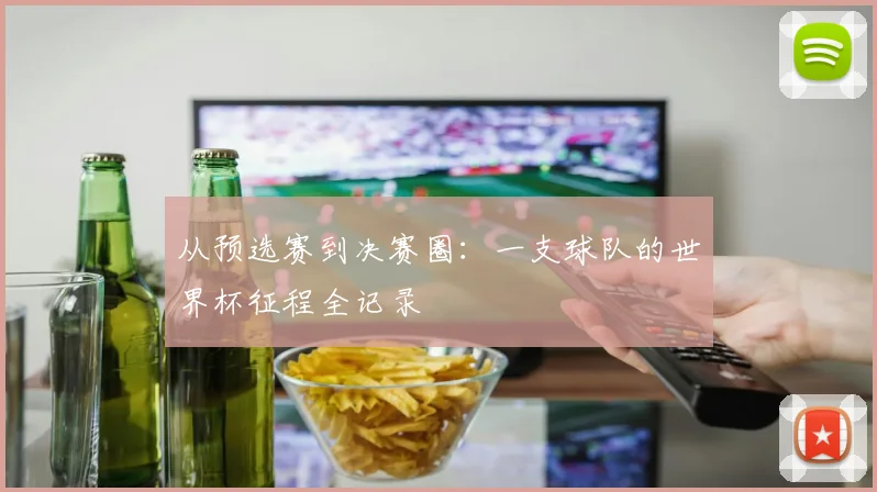 从预选赛到决赛圈：一支球队的世界杯征程全记录