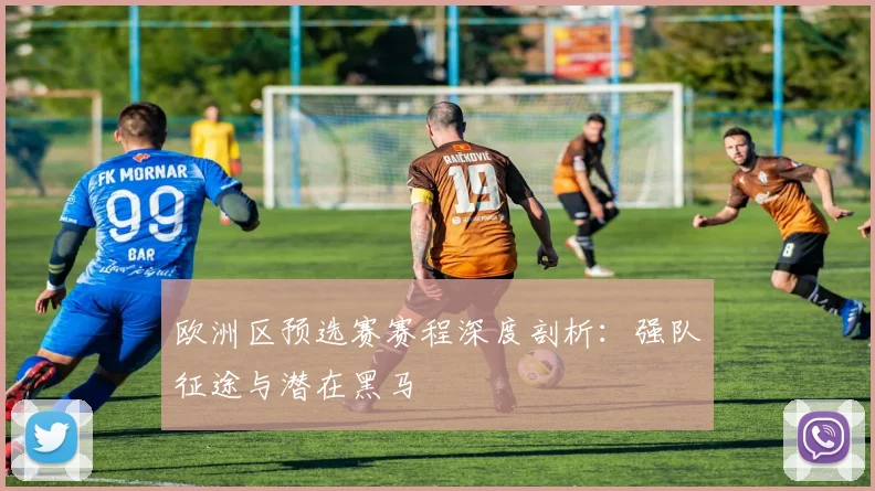 欧洲区预选赛赛程深度剖析：强队征途与潜在黑马