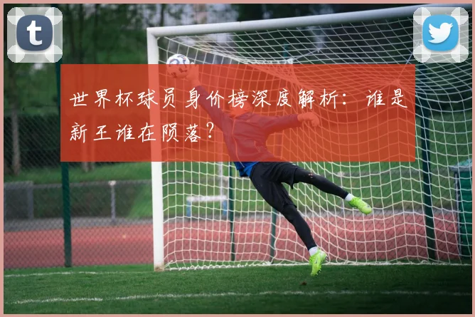 世界杯球员身价榜深度解析：谁是新王谁在陨落？