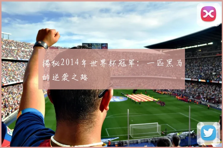 揭秘2014年世界杯冠军：一匹黑马的逆袭之路