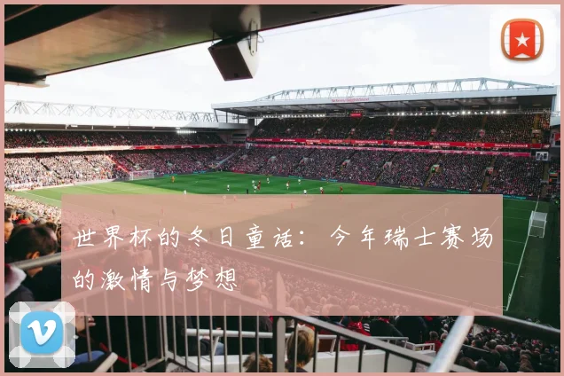 世界杯的冬日童话：今年瑞士赛场的激情与梦想