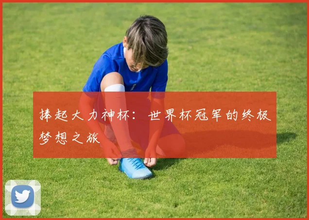 捧起大力神杯：世界杯冠军的终极梦想之旅
