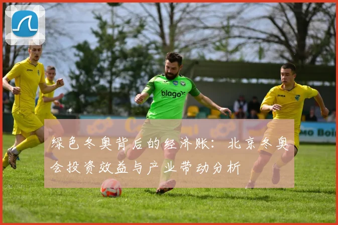 绿色冬奥背后的经济账：北京冬奥会投资效益与产业带动分析