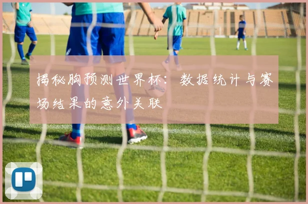 揭秘胸预测世界杯：数据统计与赛场结果的意外关联