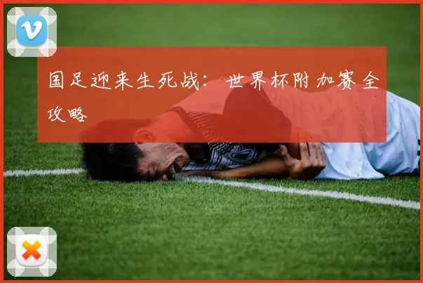 国足迎来生死战：世界杯附加赛全攻略
